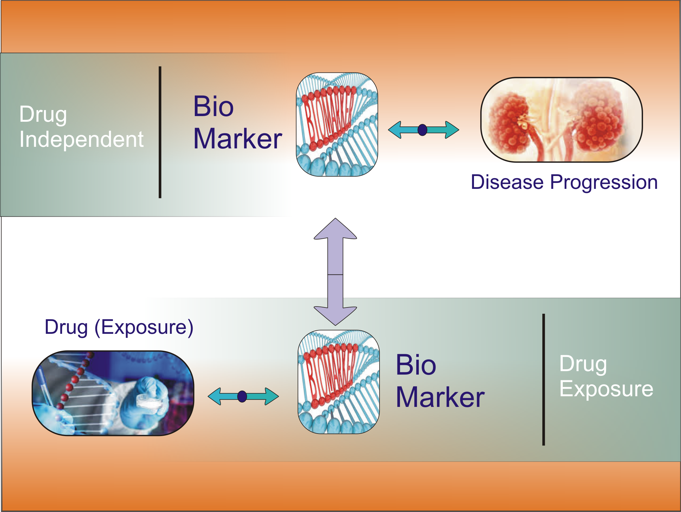 Top 3 best eCommercer Websites in 2016