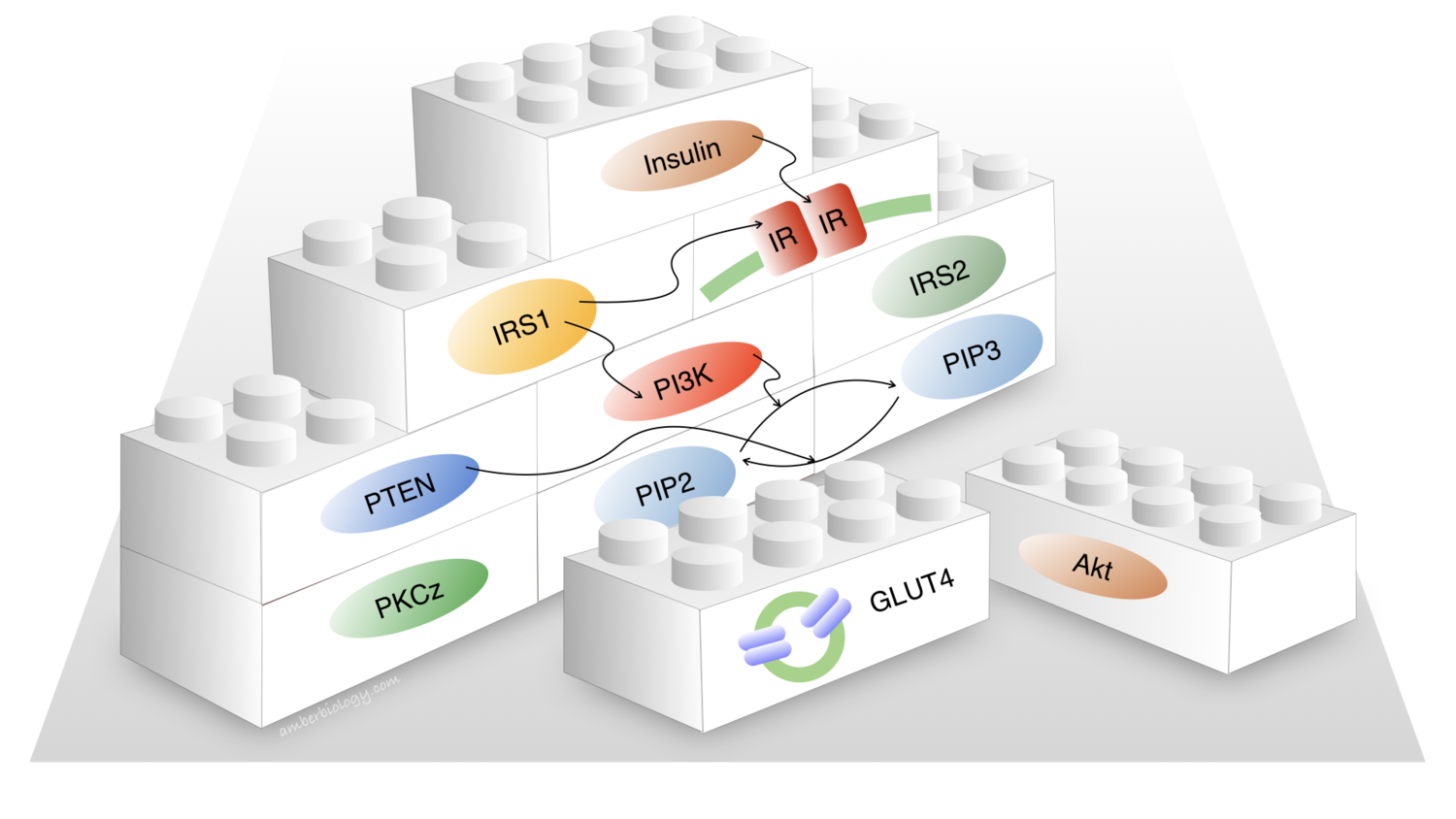 Top 3 best eCommercer Websites in 2016