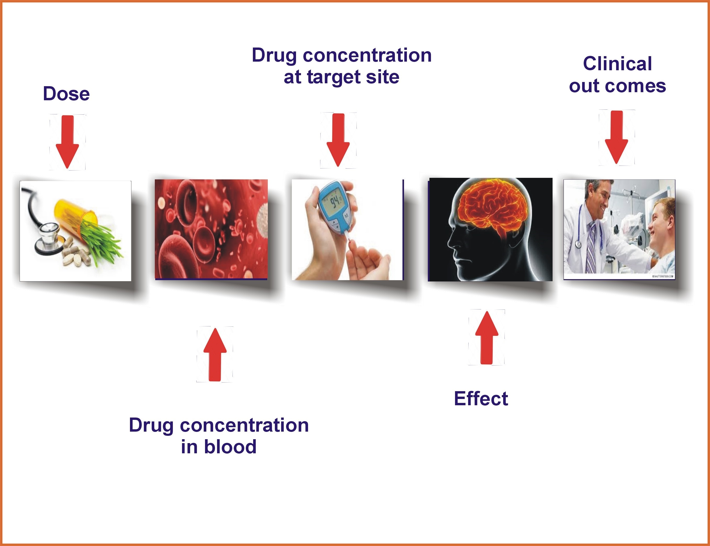 Top 3 best eCommercer Websites in 2016